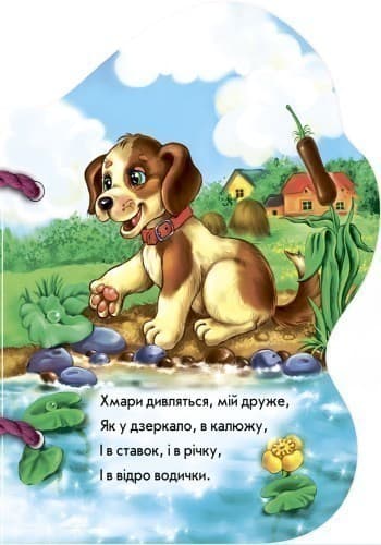 Каченятко, фото - 2