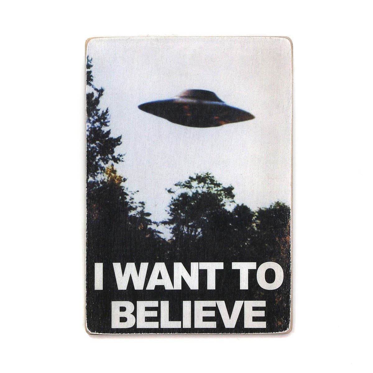 Постер &#39;The X-Files. I want to believe&#39;, фото - 1