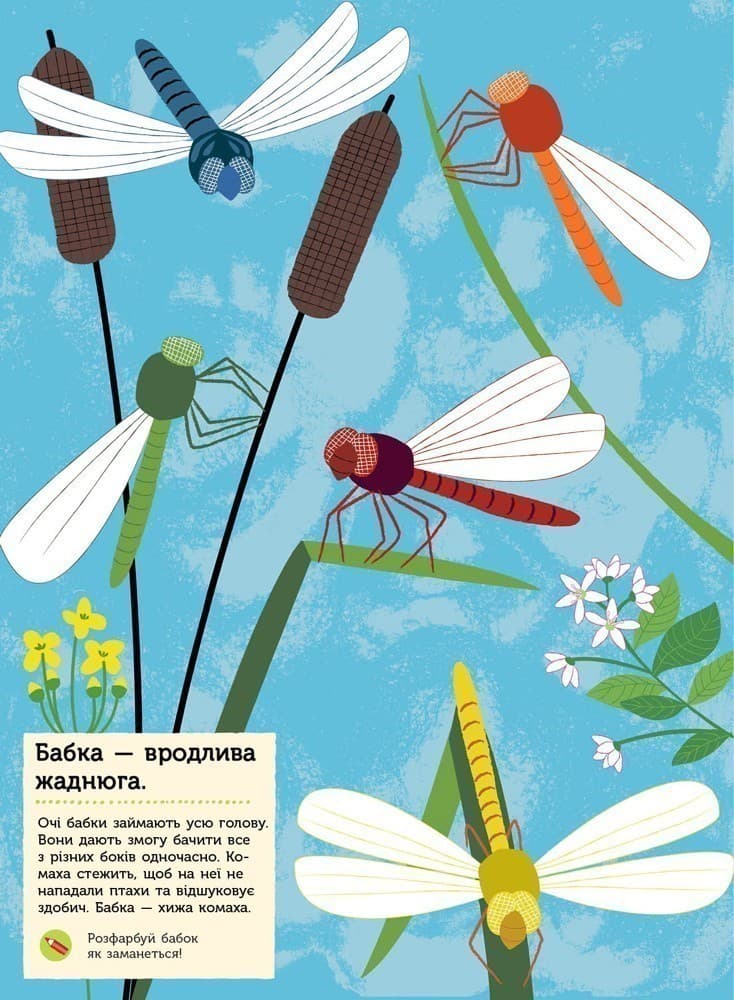 Комахи саду, фото - 2