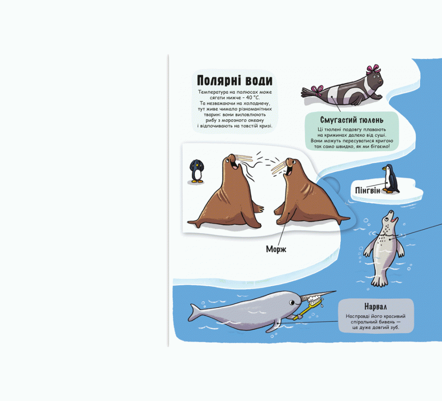 Маленькі дослідники: Підводний світ, фото - 3