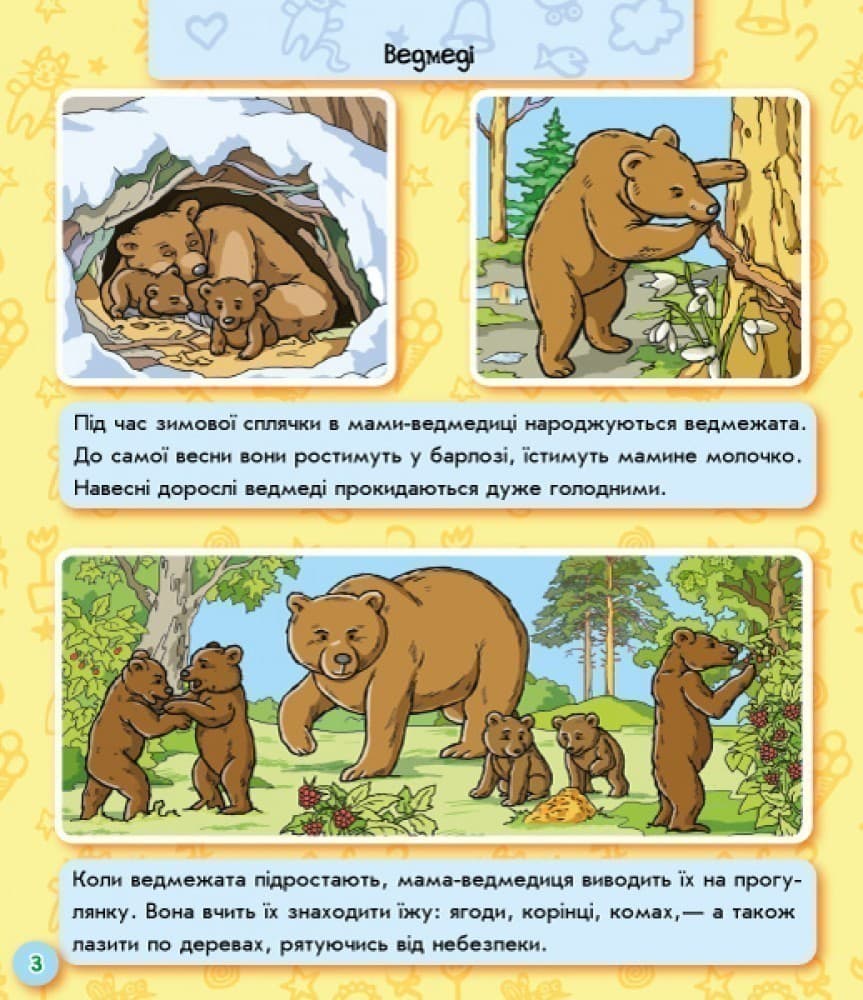 Світ тварин, фото - 3