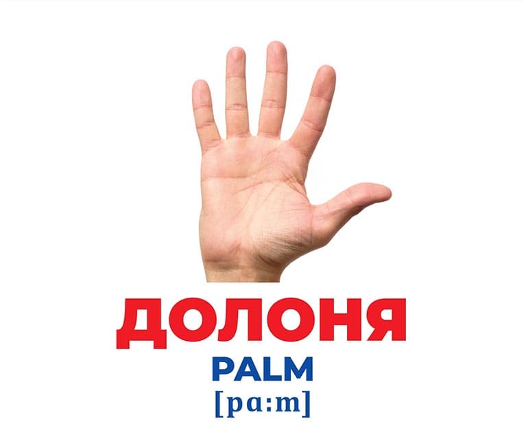 Геній з пелюшок.Будова тіла, фото - 3