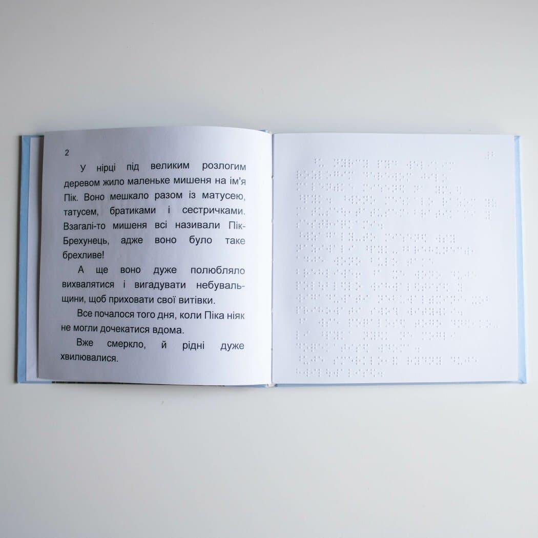 Книги Брайлем. Брехливе мишеня, фото - 2