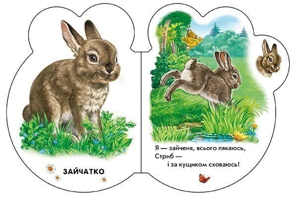 У лісі, фото - 2