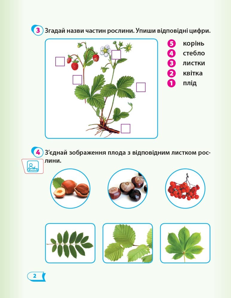 РЗ Я досліджую світ. 1 кл. у 2 ч. Ч. 2. До підр. Гільберг, фото - 3