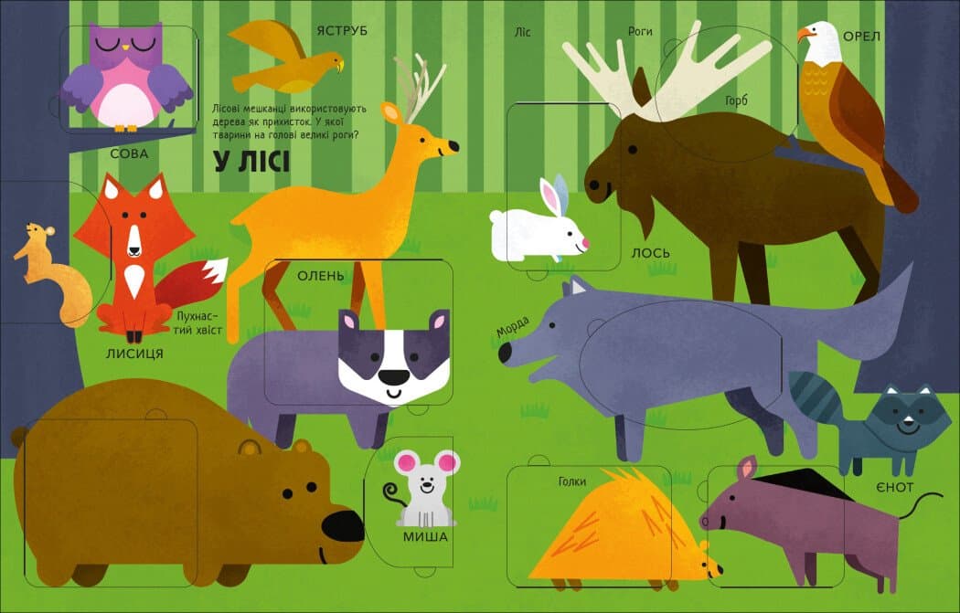 Тварини, фото - 3