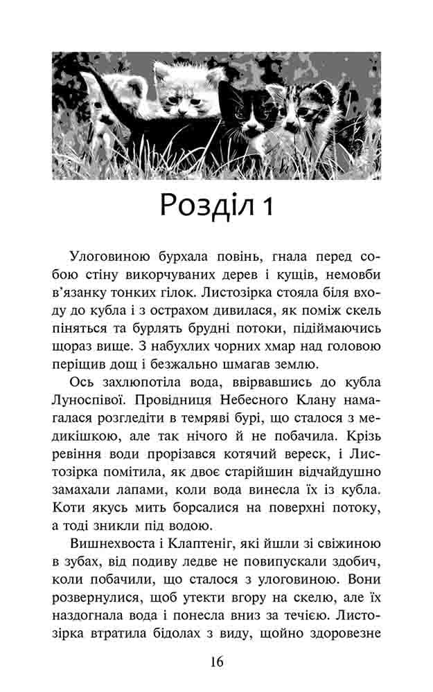 Коти-вояки. Доля Небесного Клану. Спеціальне видання, фото - 2