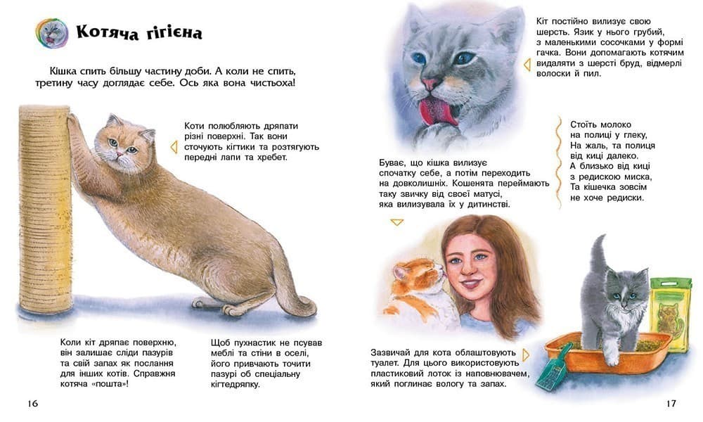 Енциклопедія дошкільника. Коти, фото - 3