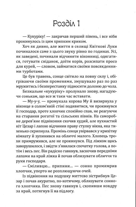 Елайджі у світі ельфів, або Алекса – мій Ельф, фото - 2
