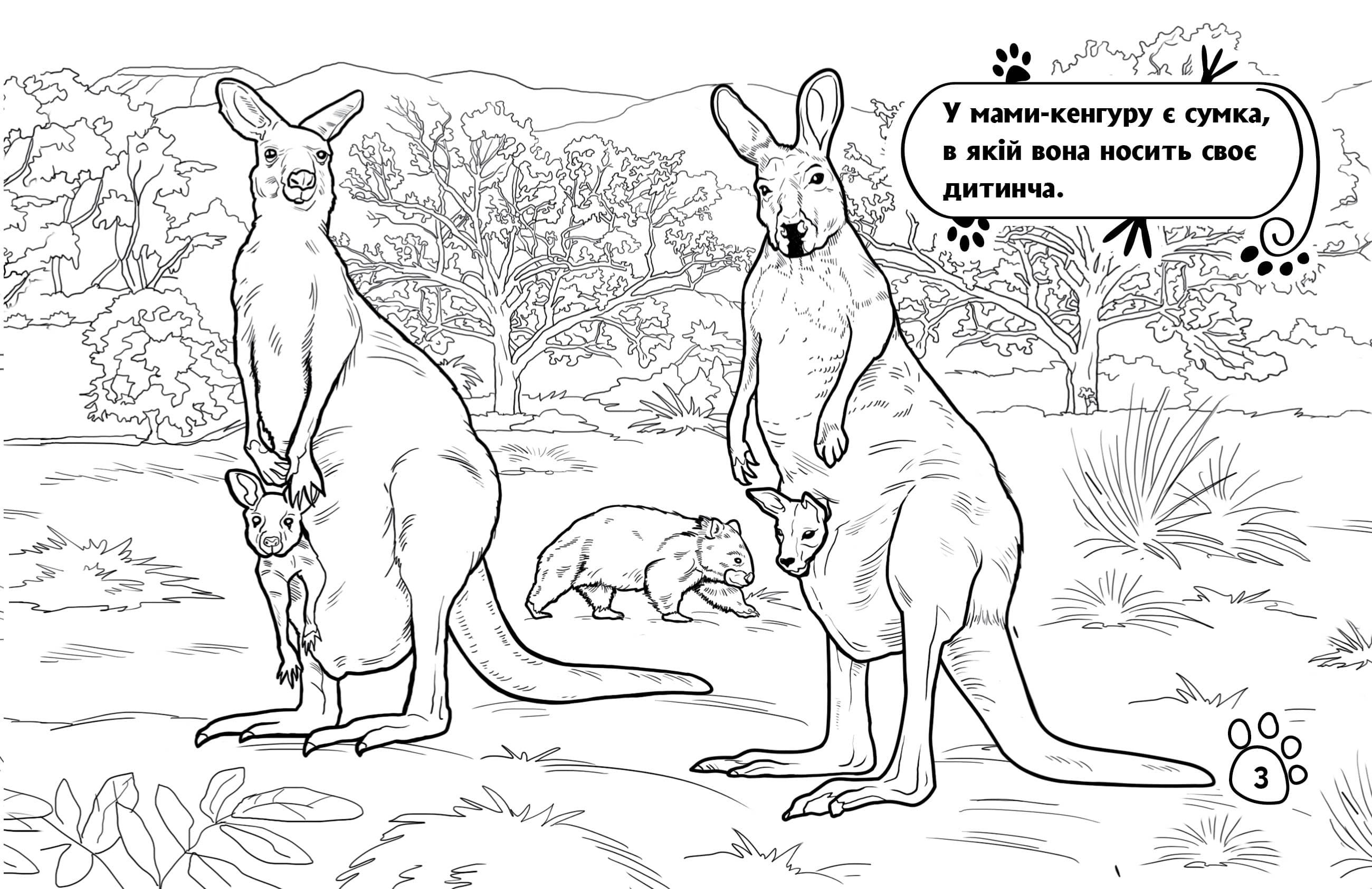 Розмальовка. Тварини з далеких країв, фото - 2