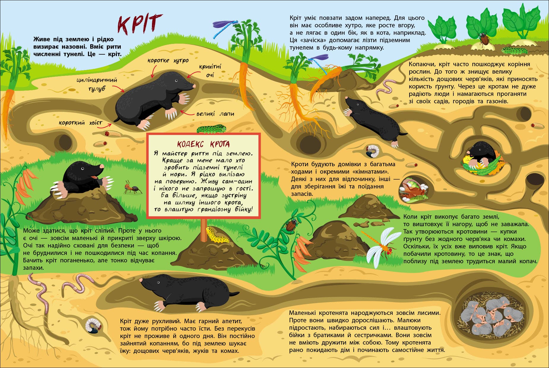Таємне життя маленьких тварин, фото - 3