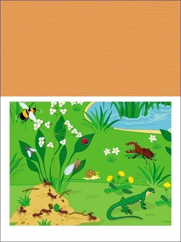 Аплікації. Рівень 3. Вирізання скруглених форм, фото - 3