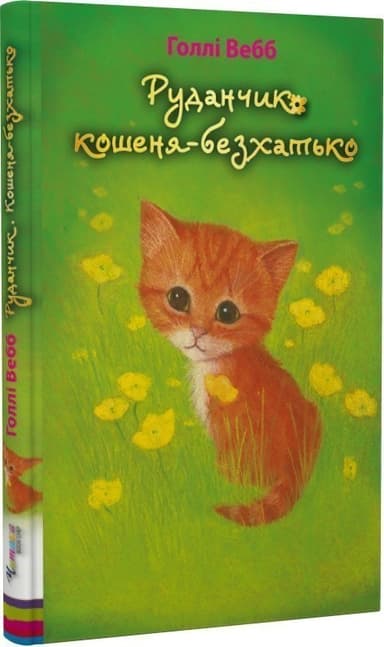 Руданчик — кошеня-безхатько