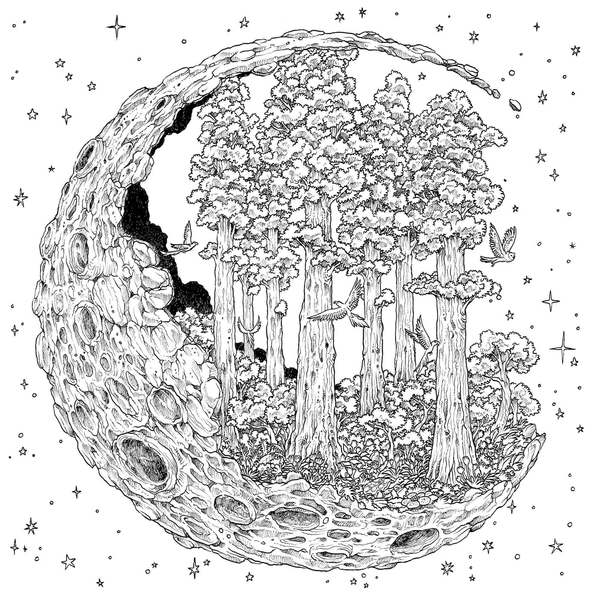 Паралельна реальність, фото - 2