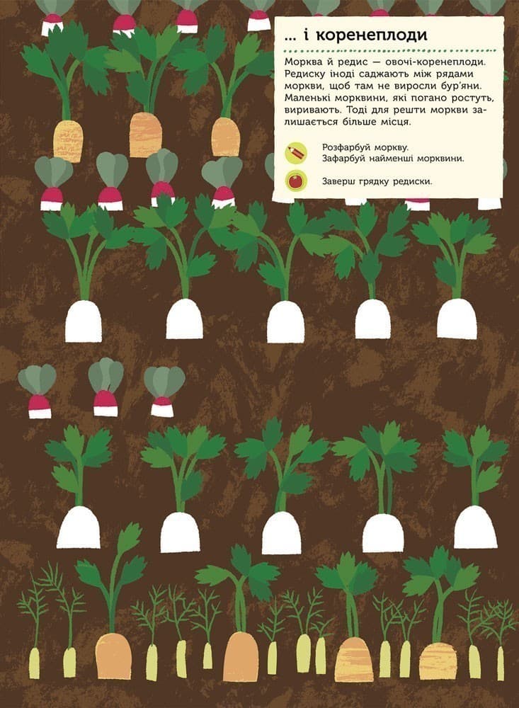 На городі, фото - 3