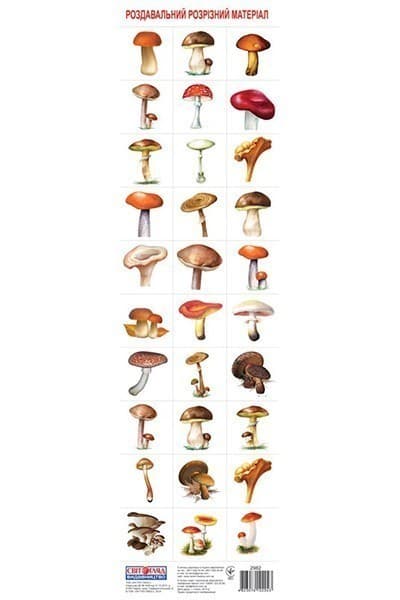 Роздавальний розрізний матеріал.Гриби, фото - 1