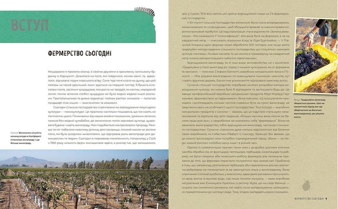 Натуральне вино, фото - 3