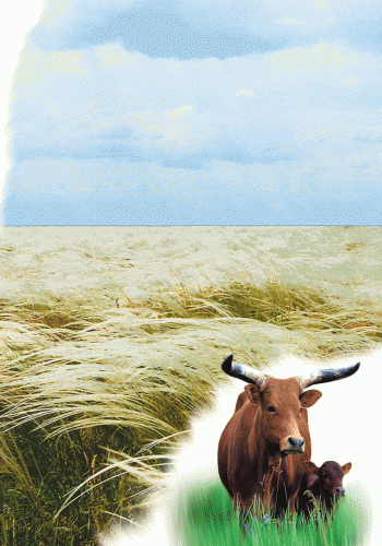 Парки та заповідники, фото - 3