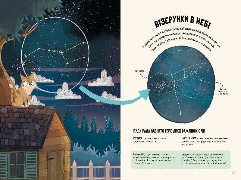 Котячий путівник нічним небом, фото - 3