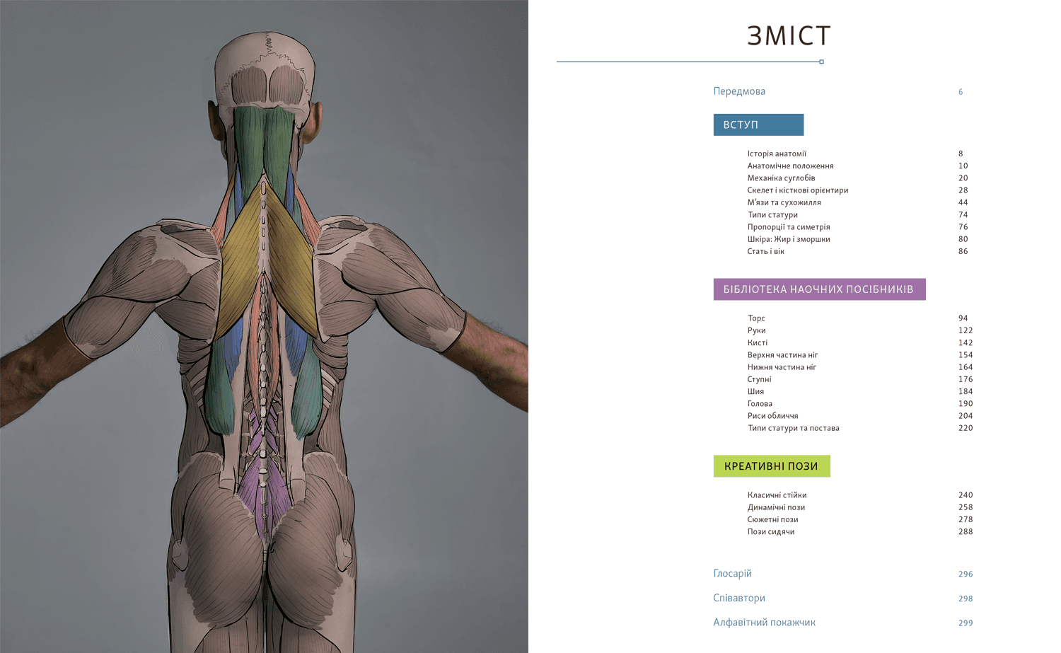 Анатомія для художників, фото - 2