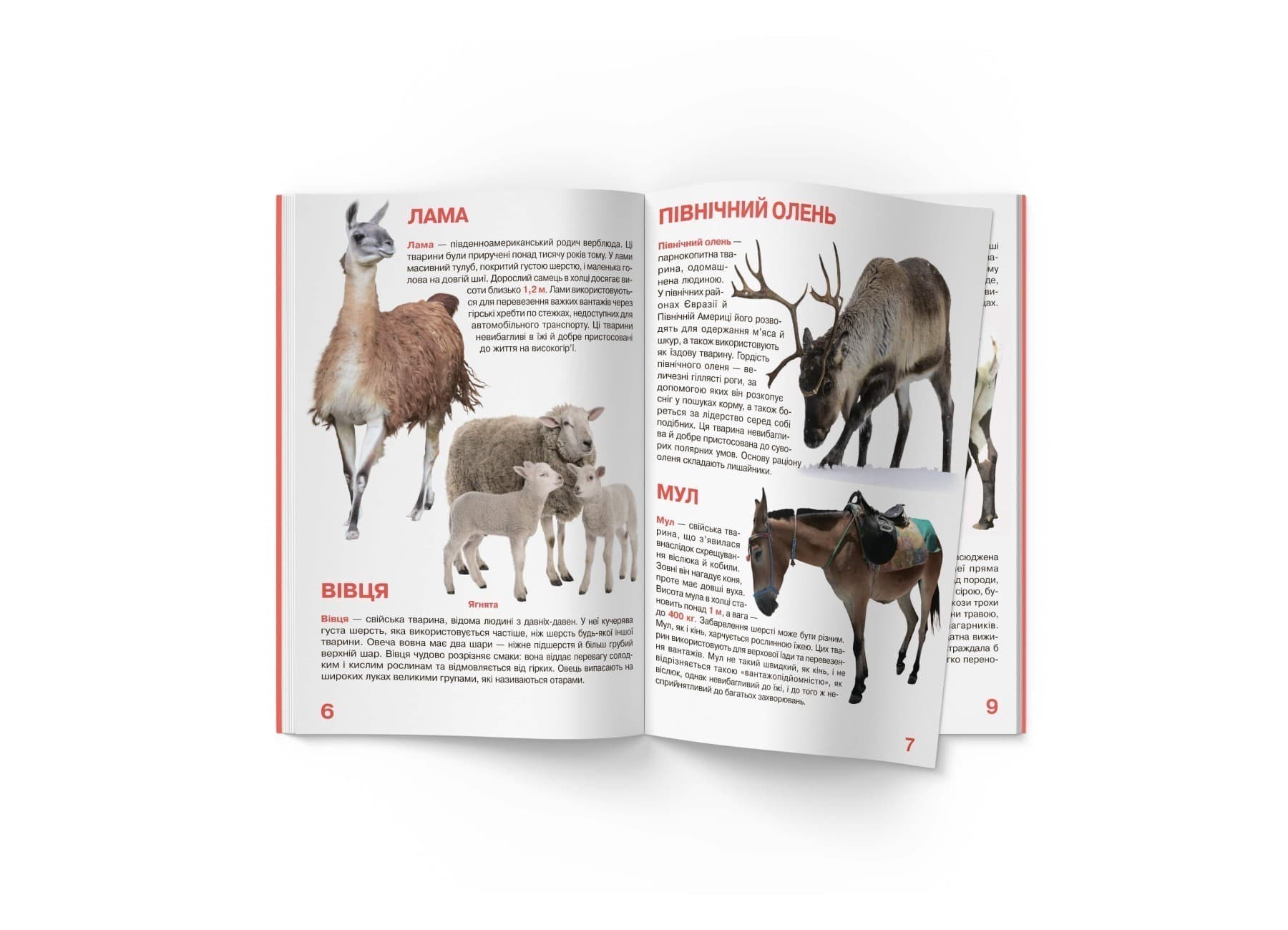 Велика книжка. Свійські тварини, фото - 3