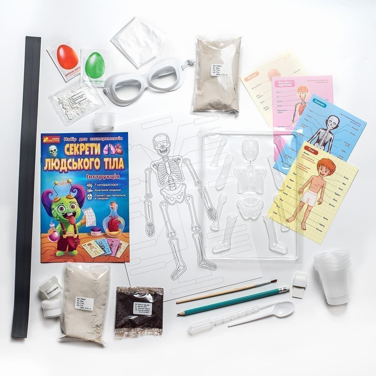 Наукова гра.Секрети людського тіла, фото - 2