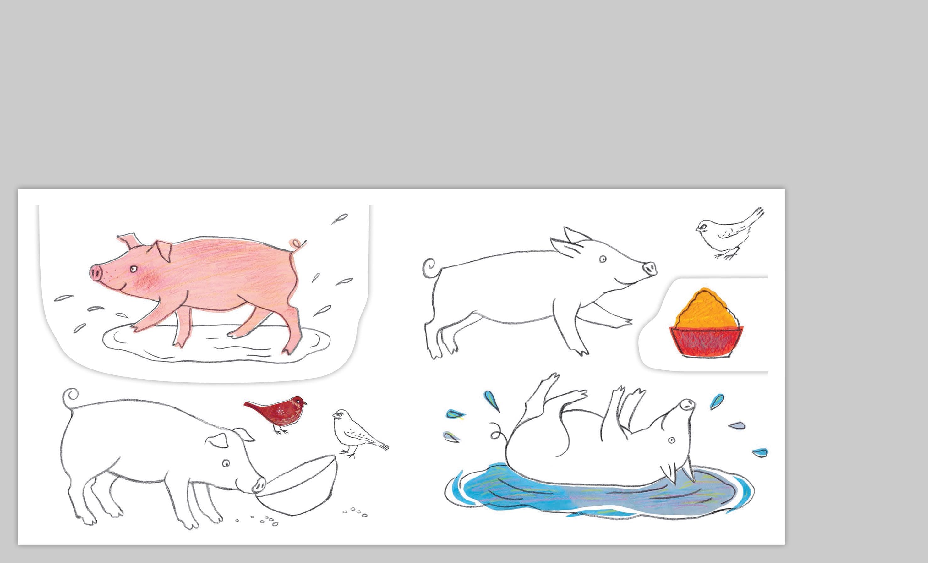 Свійські тварини, фото - 2