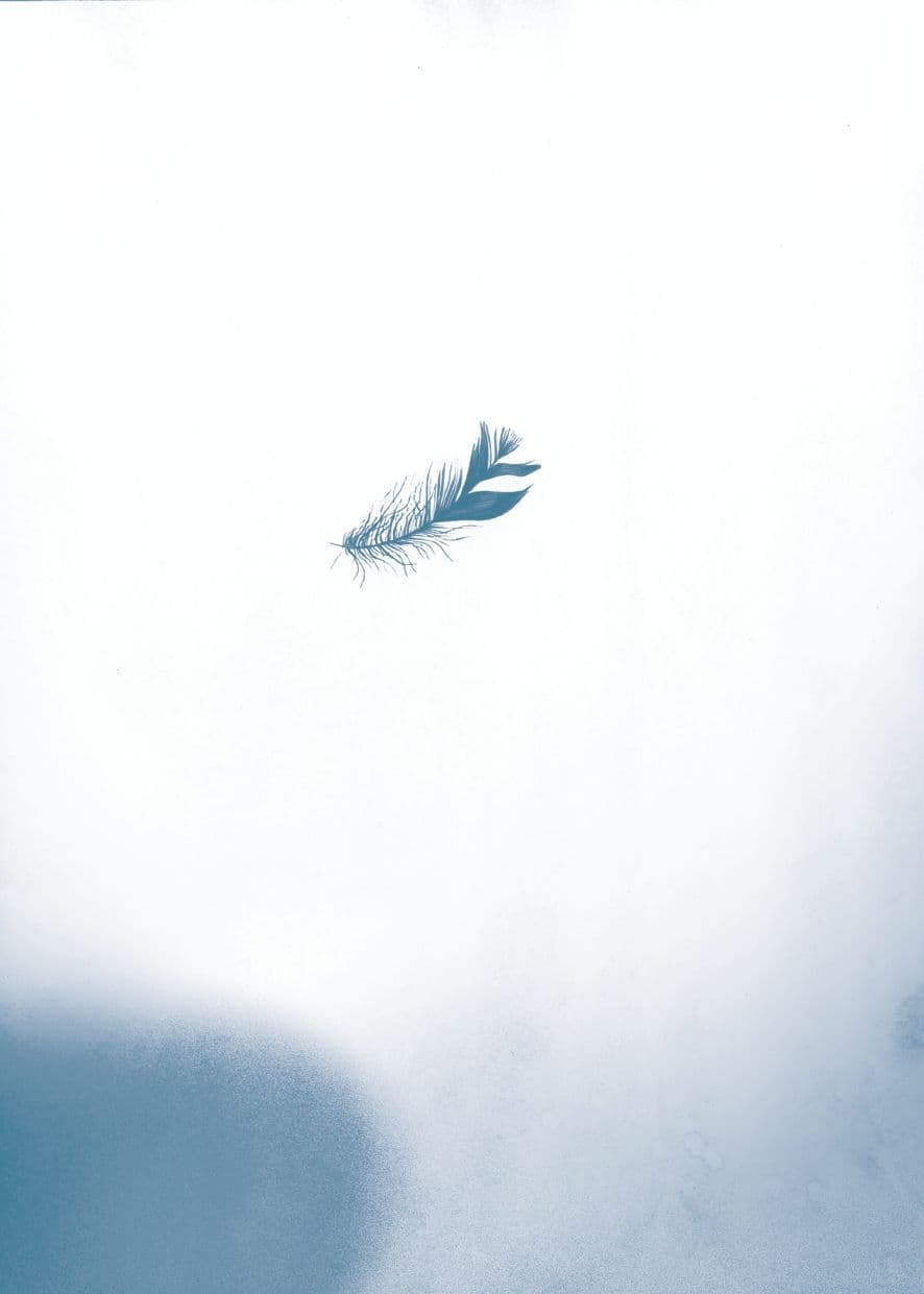 Порожні трибуни, фото - 2