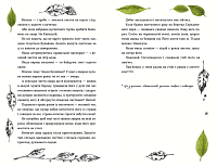 69 спецій для Серця, фото - 3