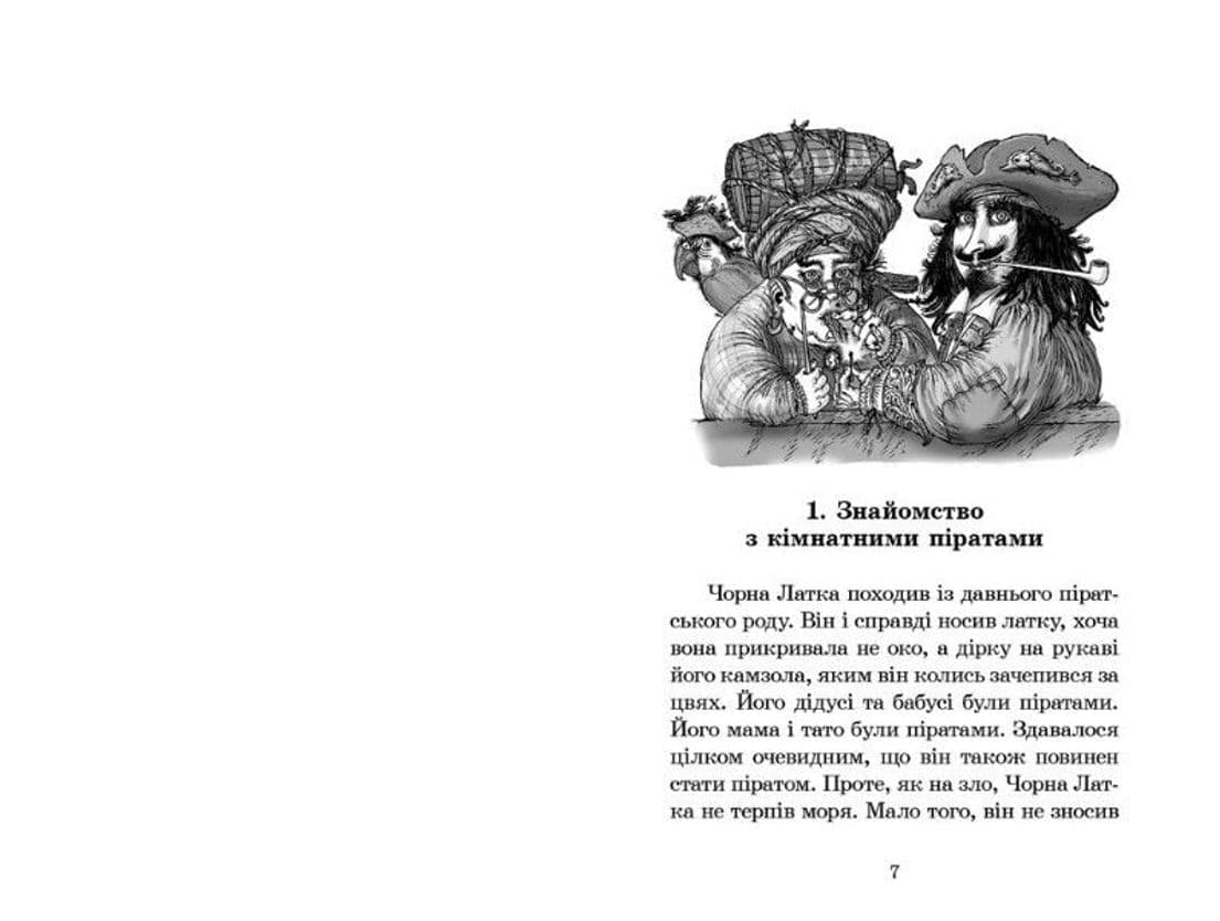 Кімнатні пірати, фото - 2