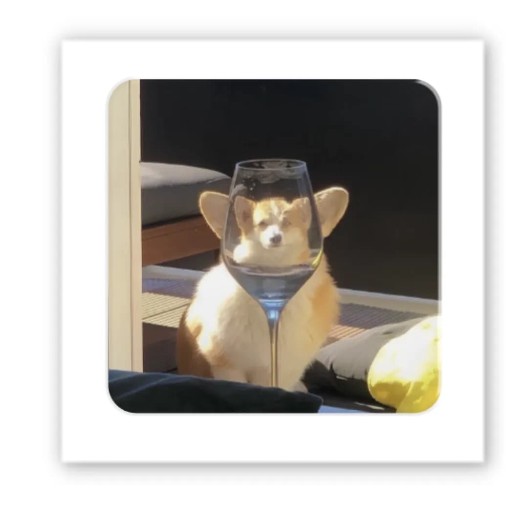 3D-стікер &amp;quot;Коргі&amp;quot;, фото - 2