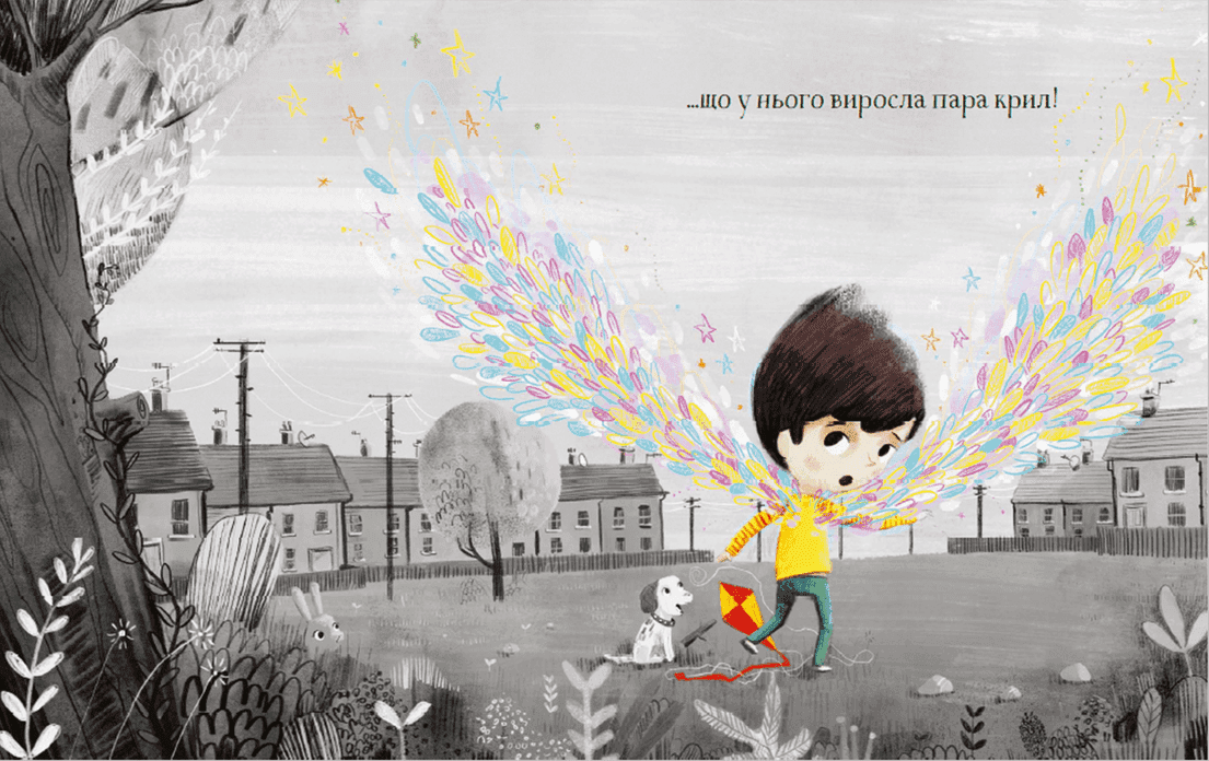 Надзвичайний Норман (з пошкодженням), фото - 2