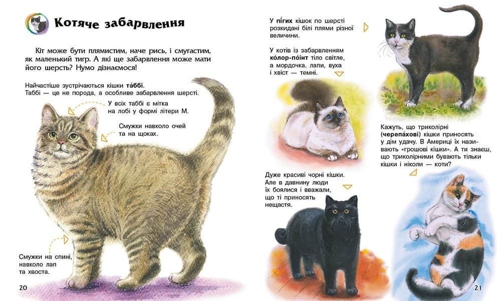 Енциклопедія дошкільника. Коти, фото - 2