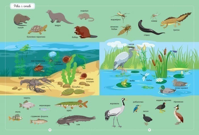 Найкращій словник тварин, фото - 2