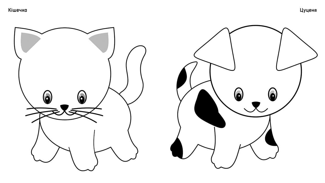 Чудові фарби. Тварини, фото - 3