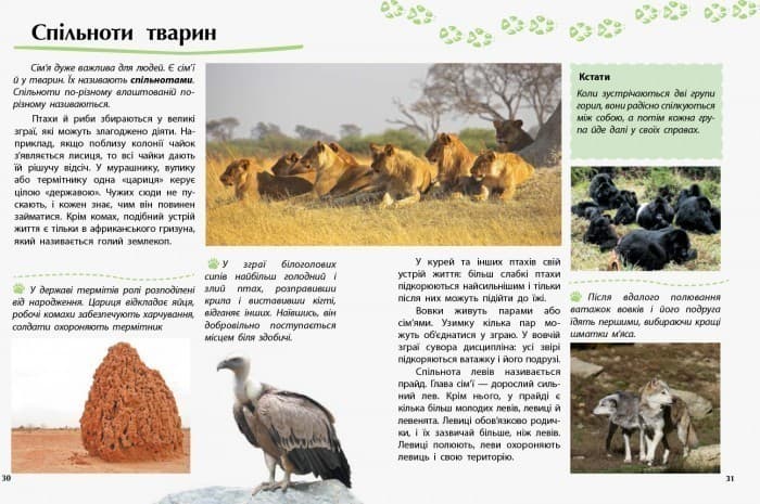 Тварини. Відкриваємо світ, фото - 3