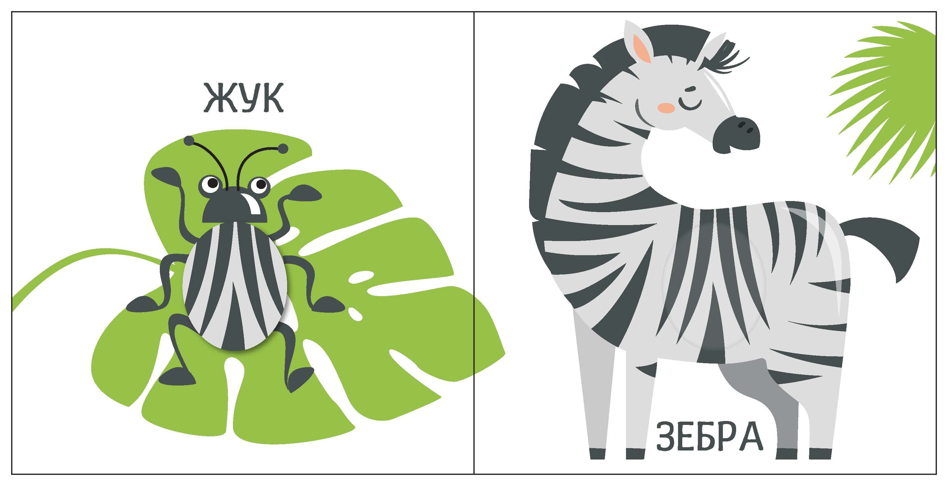 Яскравий світ. Розміри, фото - 2