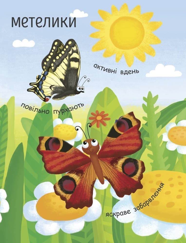 Як народжується метелик?, фото - 2