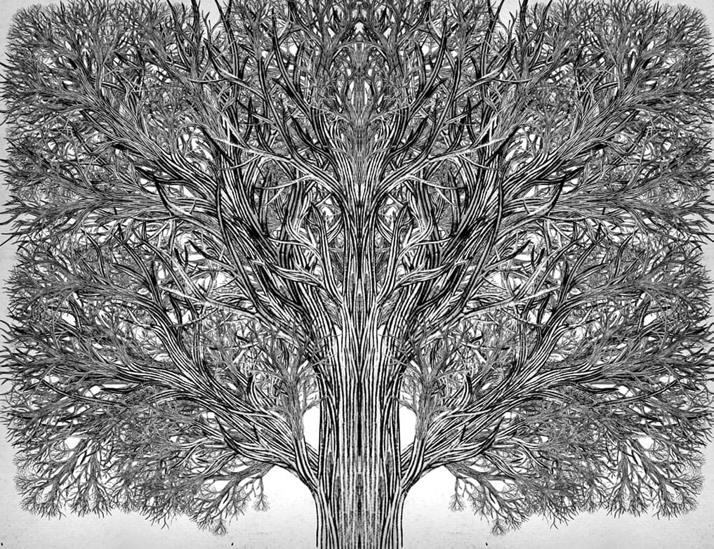 Школа Добра і Зла. Єдиний Істинний король. Книга 6, фото - 3