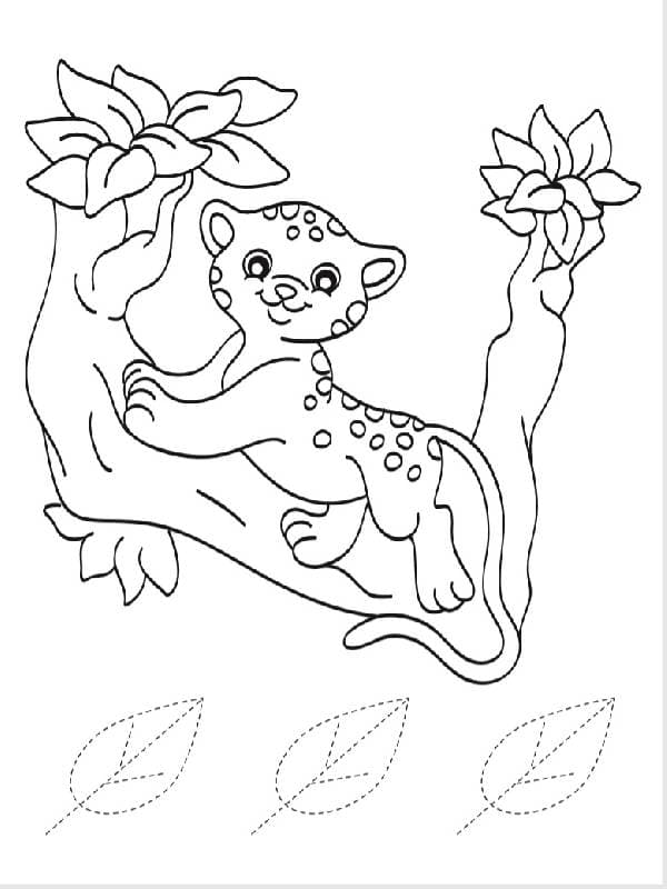 Леопард і компанія, фото - 3