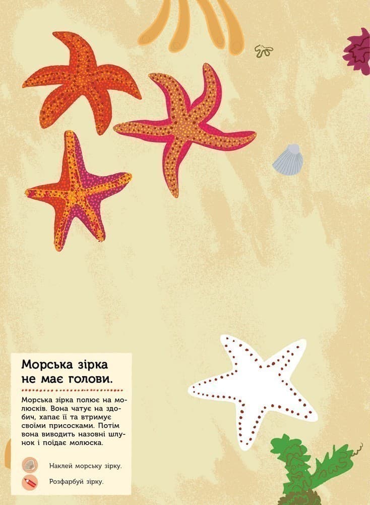 На березі моря, фото - 2