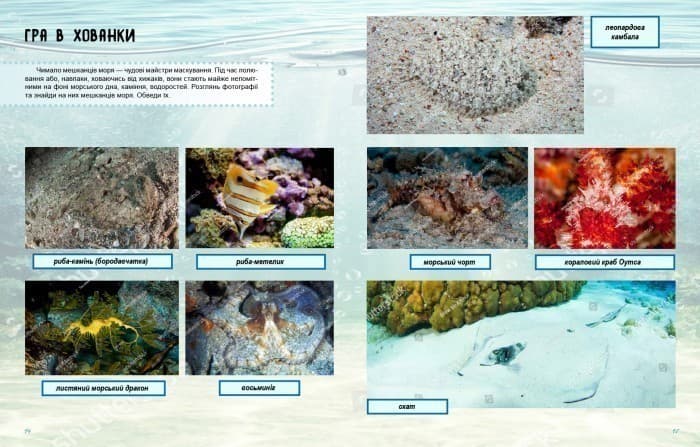 Життя моря. Зошит, фото - 3