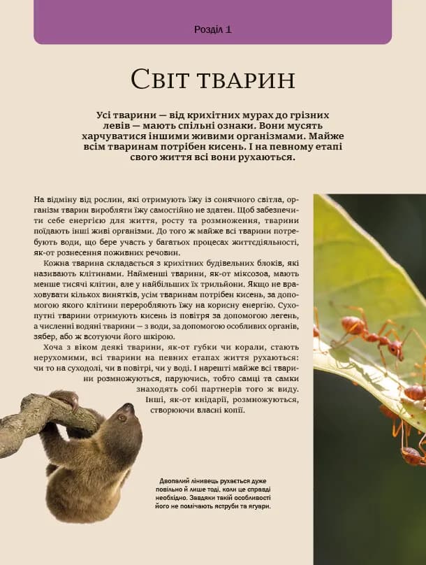 Велика книга тварин, фото - 2