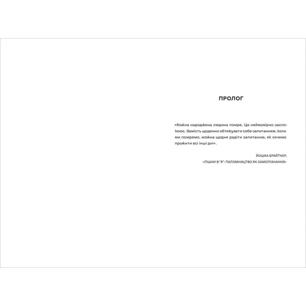 Вбивайте усвідомлено на краю світу (Книга 3), фото - 2