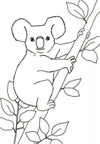 Тварини (розмальовка), фото - 2