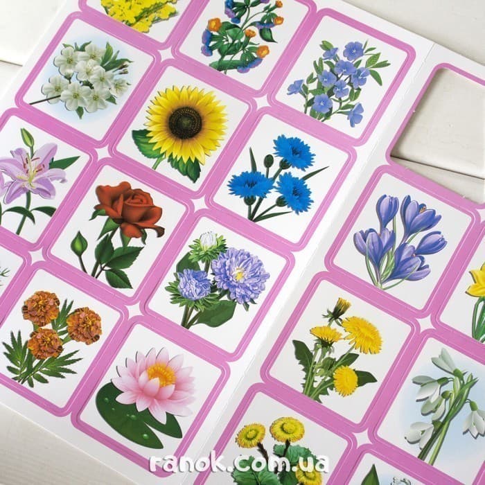 Дидиктична гра.Весняні квіти, фото - 3