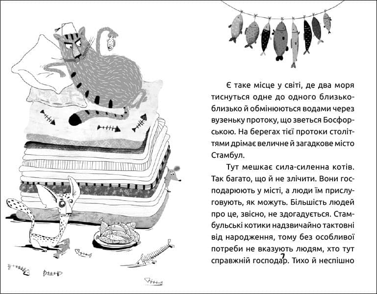 Замріяний котик Фаго, фото - 2