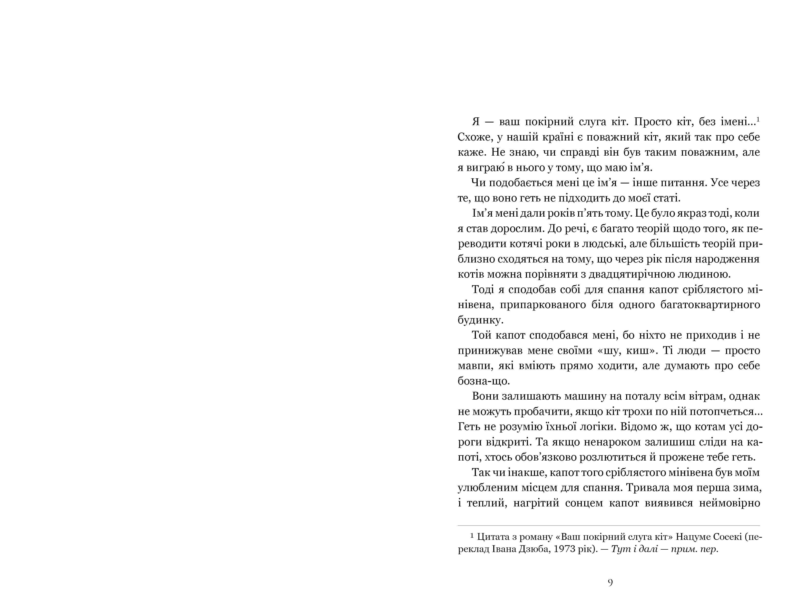 Щоденник мандрівного кота, фото - 2