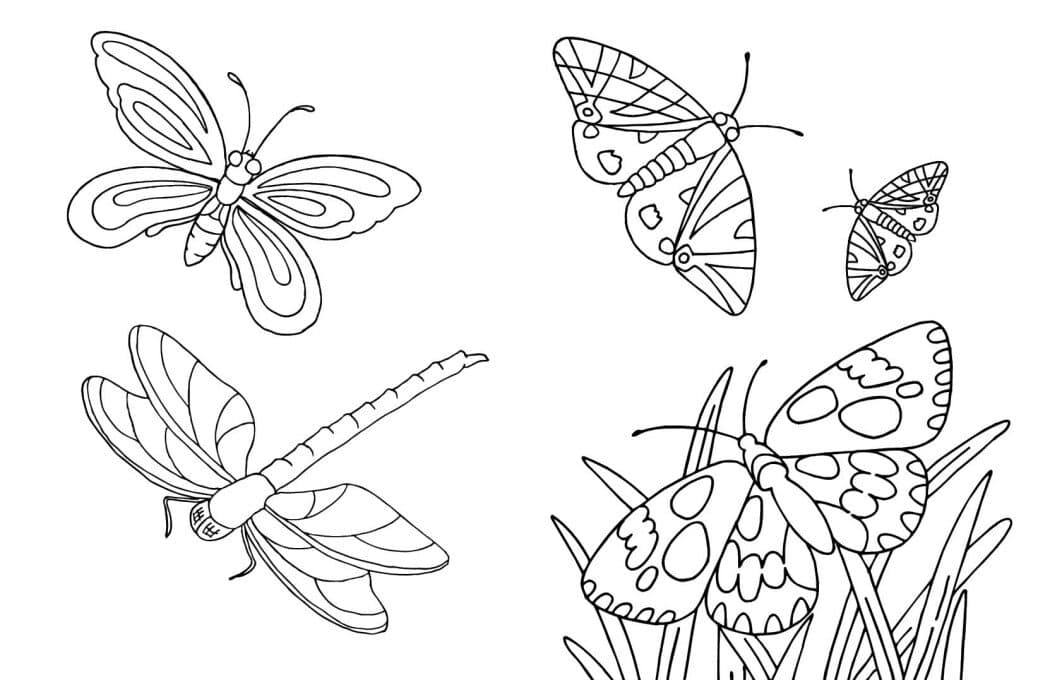 Велика книга розмальовок. Тварини, фото - 2