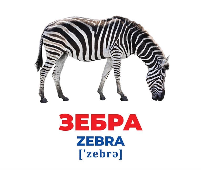 Геній з пелюшок.Тварини різних широт, фото - 3